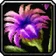 Lei of the Lifegiver